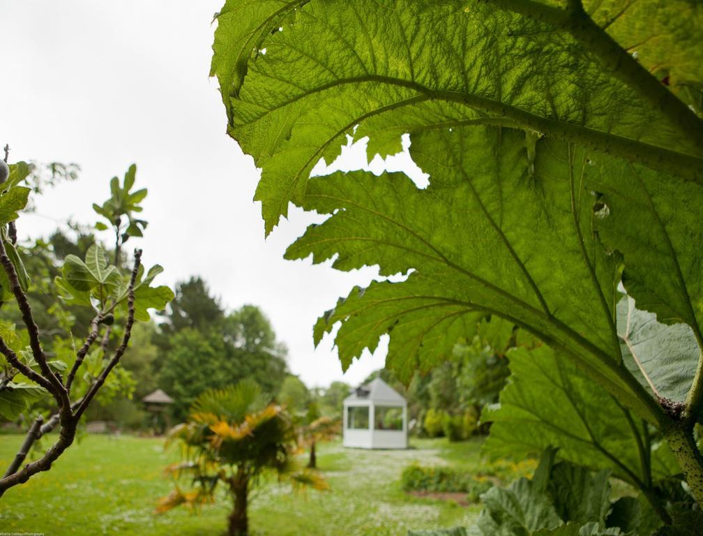 Rose In Vale Country House Hotel St Agnes  Exterior foto
